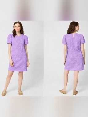 J Crew Embroidered puff-sleeve mini dress